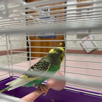 Carrollton West Pet Hospital