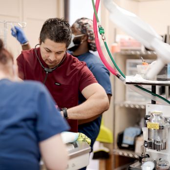 Hillside Veterinary Clinic