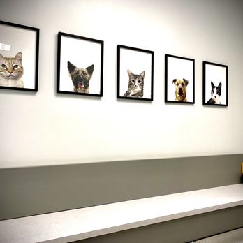 Dallas Animal Urgent Care