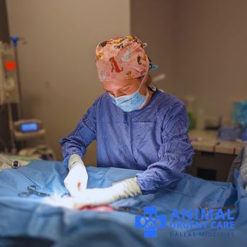 Dallas Animal Urgent Care