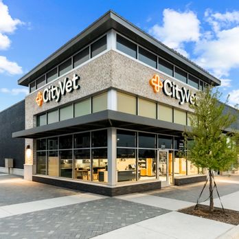 CityVet - Frisco Lexington