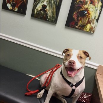 Midway Hollow Pet Clinic