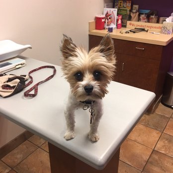 Midway Hollow Pet Clinic