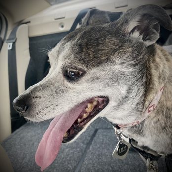 Parker Animal & Bird Clinic