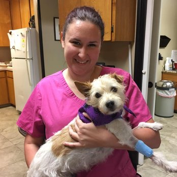 Wylie Veterinary Hospital