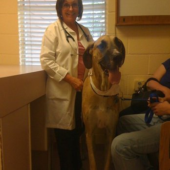 Wylie Veterinary Hospital