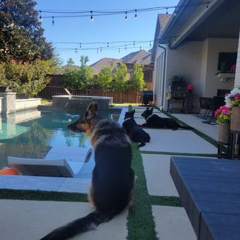 Birdseyehousekeeping