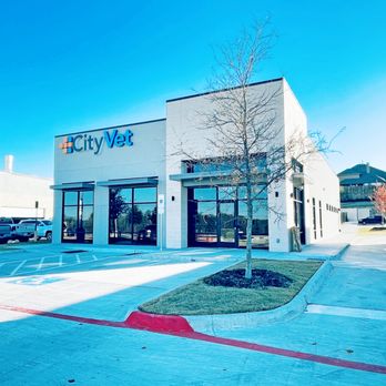 CityVet - McKinney