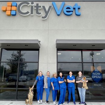 CityVet - McKinney