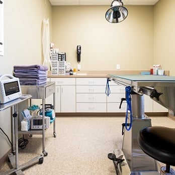 Kindness Small Animal Hospital