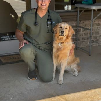 Lantana Animal Hospital