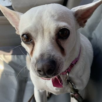 Abrams Forest Veterinary Clinic