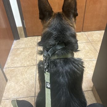 North Dallas Veterinary Hospital