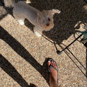 Animal Hospital Of Collin County