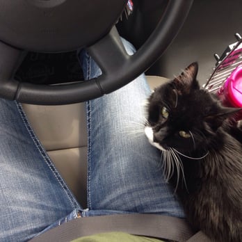 Advanced Veterinary Care of Plano