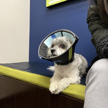 Breckinridge Park Animal Hospital