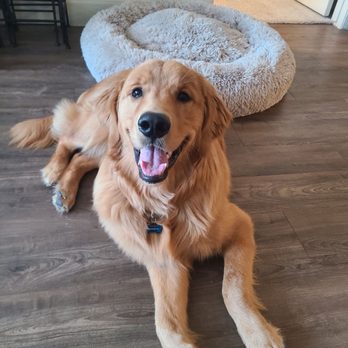 Breckinridge Park Animal Hospital