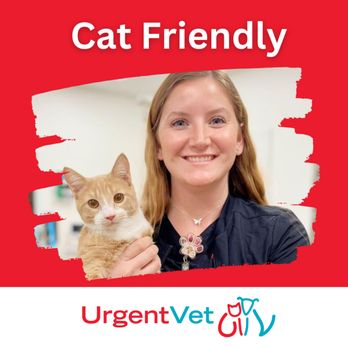 UrgentVet - West Plano