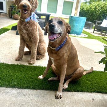 Lucas Veterinary Hospital