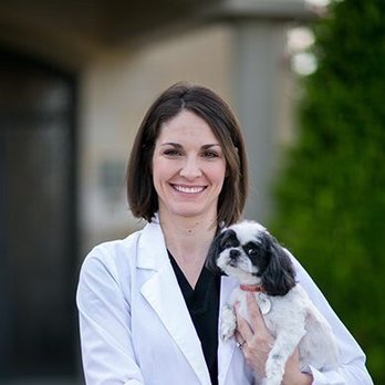 Custer McDermott Animal Hospital