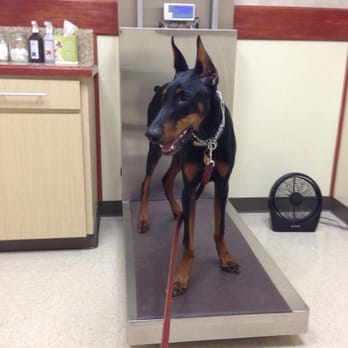 Pavillion Animal Hospital