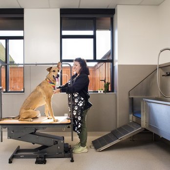 Riverwalk Pet Hospital & Resort