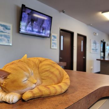 Animal Clinic of Grand Prairie