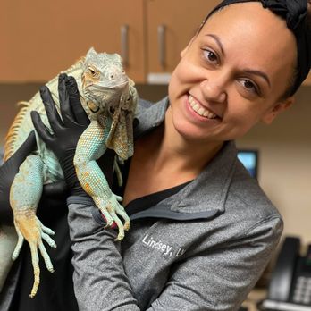 Animal Emergency Hospital of North Texas