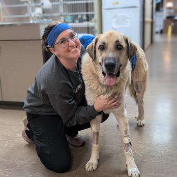 Animal Emergency Hospital of North Texas