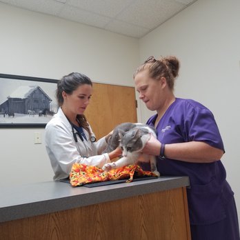 Walnut Creek Animal Clinic