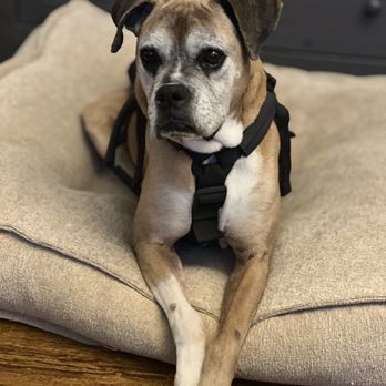 Walnut Creek Animal Clinic