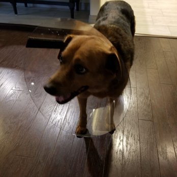 Walnut Creek Animal Clinic