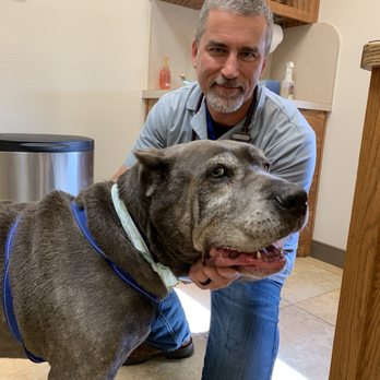 Parker Road Veterinary Hospital