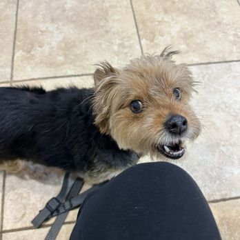 Parker Road Veterinary Hospital