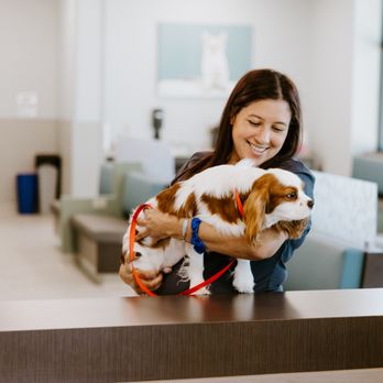 North Dallas Veterinary Emergency & Specialty Hospital