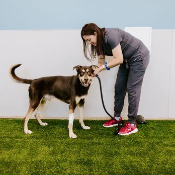 North Dallas Veterinary Emergency & Specialty Hospital