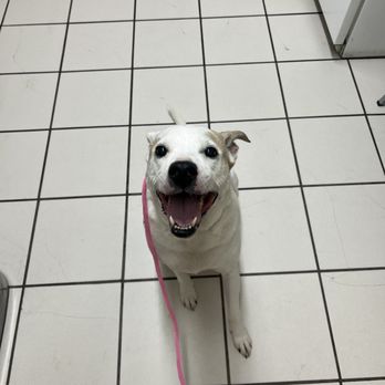 Casa Linda Animal Clinic