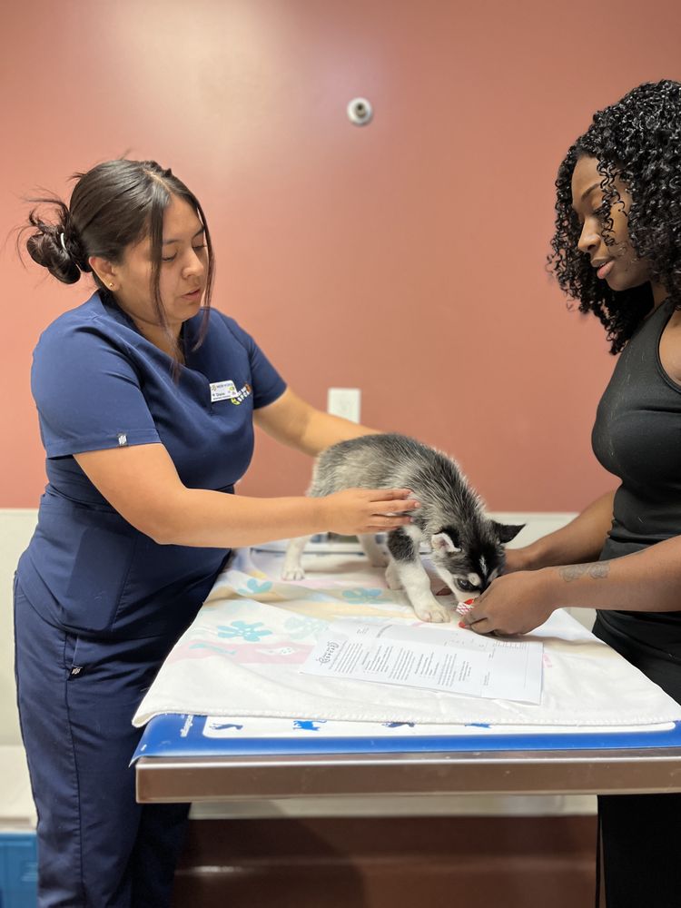 Theodore B Travers Family Veterinary Clinic - East Bay SPCA