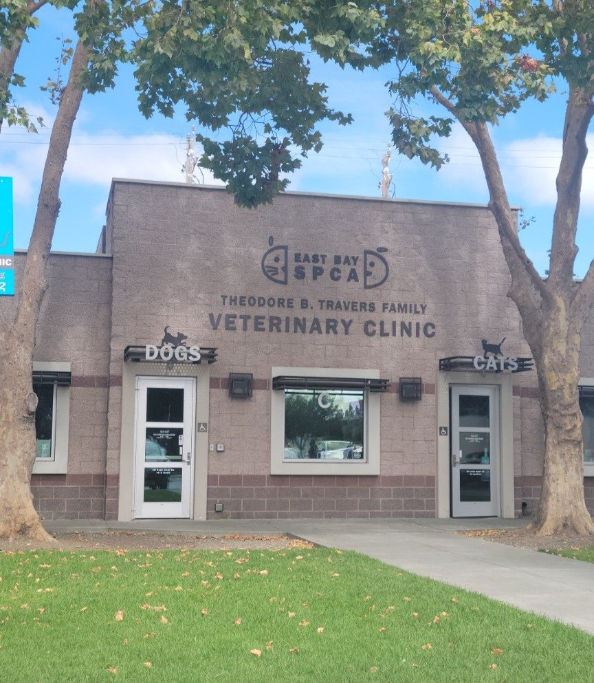 Theodore B Travers Family Veterinary Clinic - East Bay SPCA