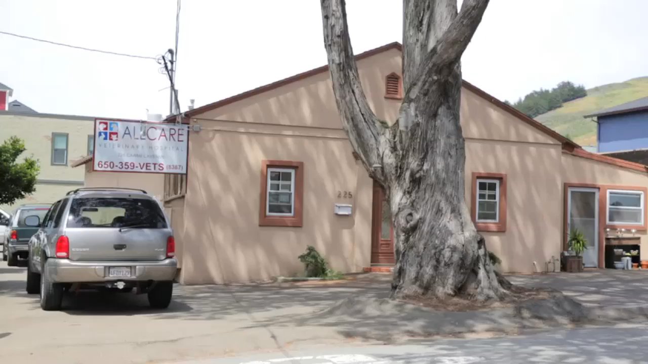 Allcare Veterinary Hospital